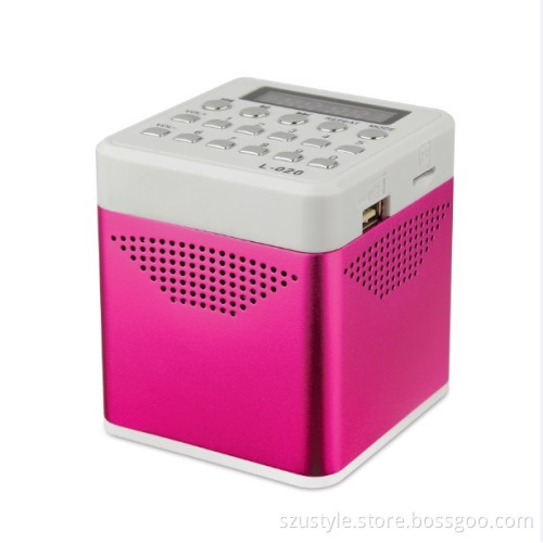Mini Speaker (UM10)